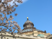 Library of Congress dome