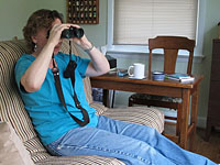 Watching birds from the comfort of my futon