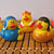 Rubber Duck Nativity Scene