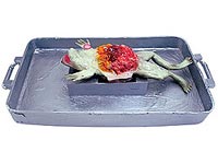 Singing frog candy dish