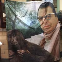 Jeff Goldblum with ape shower curtain