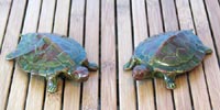 Turtles