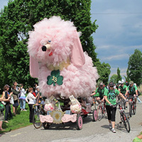Fifi Le Pink Poodle