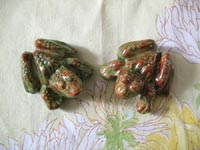 Top side of the frogs